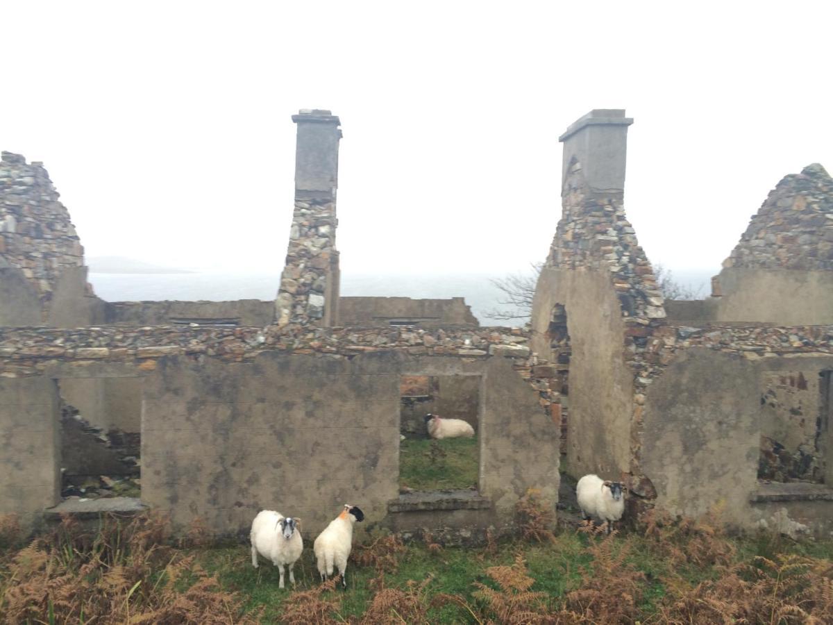 Ardcrone House Bed and Breakfast Dungloe Exteriör bild